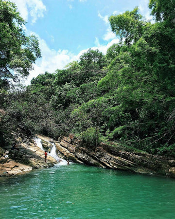 El Yunque Adventure+Beach Time & Shopping w/ Transport Included