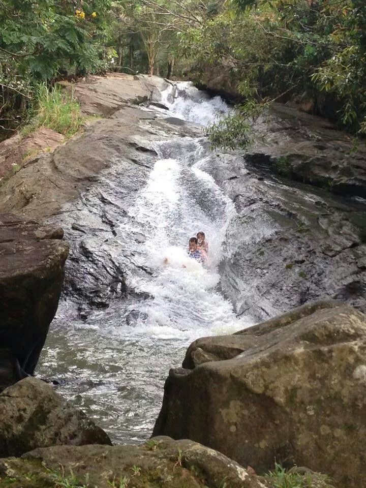 El Yunque Adventure+Beach Time & Shopping w/ Transport Included